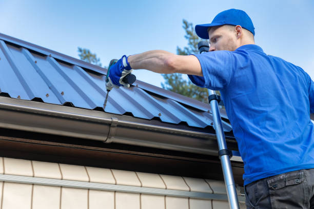 Best Roof Insulation Installation  in Knoxvle, IL