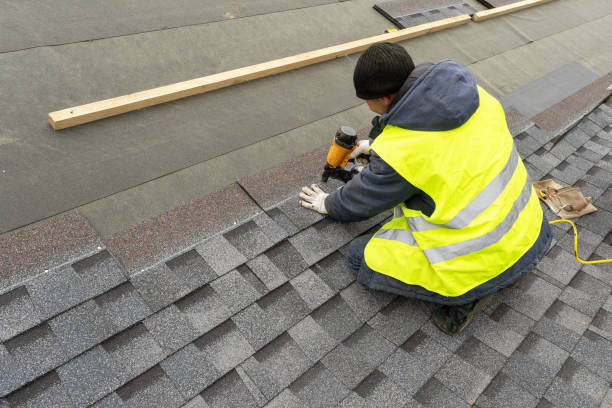 Best Roof Restoration  in Knoxvle, IL