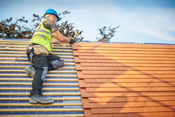 Best Chimney Flashing Repair  in Knoxvle, IL