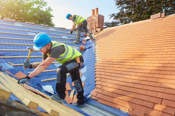 Best Roofing for New Construction  in Knoxvle, IL